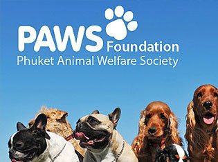 ticks heartworm rabies