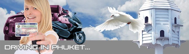 motorbikes